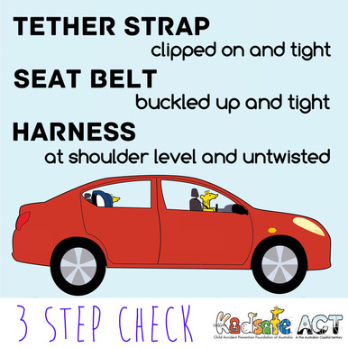 car seat harness